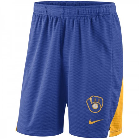 Men's Milwaukee Brewers Royal Franchise Performance Shorts