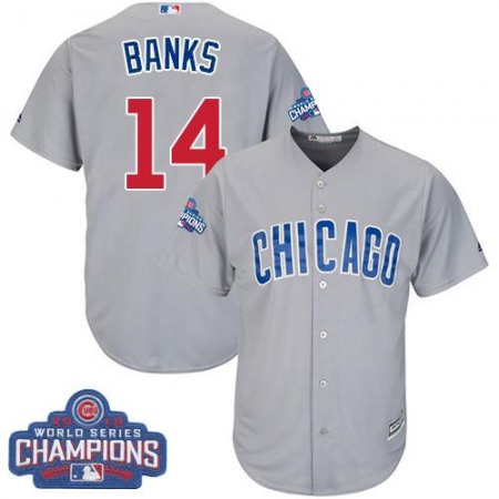 Cubs #14 Ernie Banks Grey Road 2016 World Series Champions Stitched Youth MLB Jersey