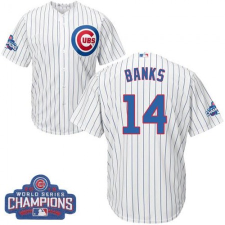 Cubs #14 Ernie Banks White Home 2016 World Series Champions Stitched Youth MLB Jersey