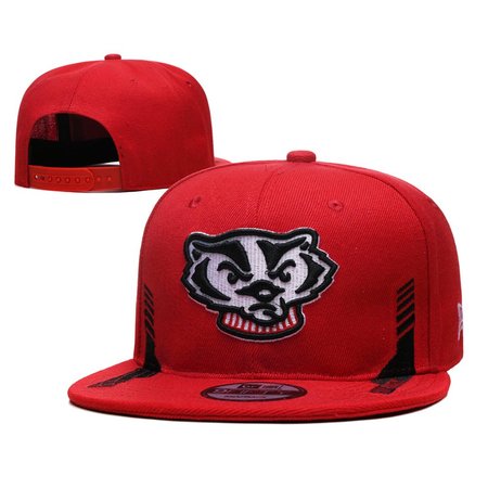 Wisconsin Badgers Snapback Hat